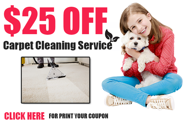 Carpet Cleaning Pasadena TX Special Offer