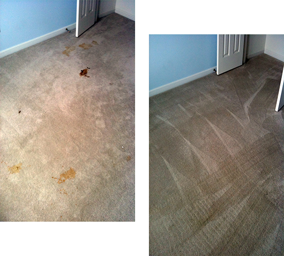 Stain Removal Before And After